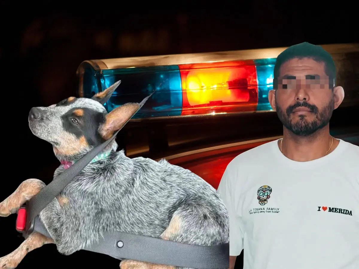 El presunto agresor de la perrita “Sicilia” responde al nombre de Ferdinando L y es señalado como presidente de la Asociación de Tiro Deportivo de Yucatán A.C.- Fuente Red Digital Informativa y Canva