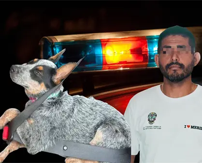 Detienen a presunto agresor de la perrita Sicilia: autoridades informan que fue capturado en Campeche