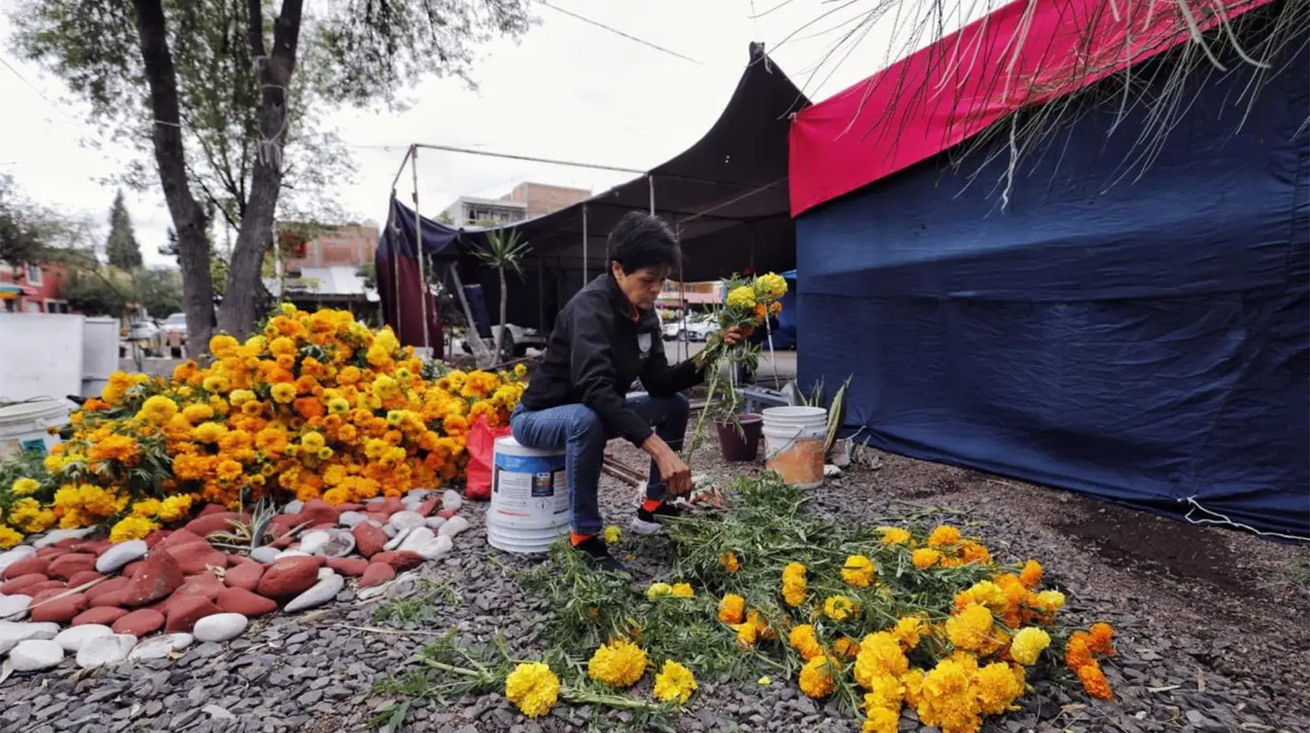 El Día de Muertos es el marco para una importante romería en el Panteón de Oriente. | Foto: Gobierno municipal.