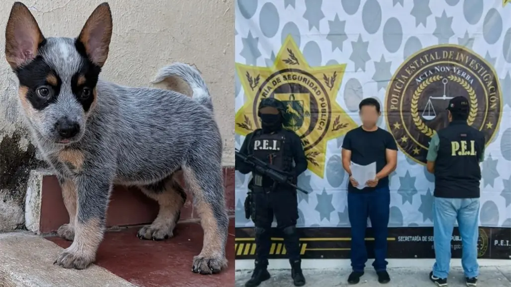 ¿Quién es Ferdinando N, presunto agresor de la perrita Sicilia en Mérida?