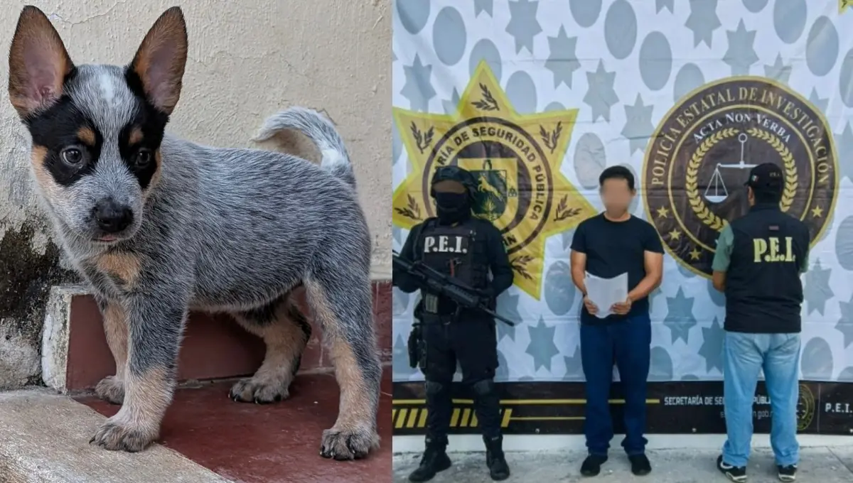 La liberación del presunto agresor de Sicilia ha causado indignación en la sociedad yucateca Foto: SSP Yucatán/Jorge Medina