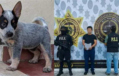 ¿Quién es Ferdinando N, presunto agresor de la perrita Sicilia en Mérida?