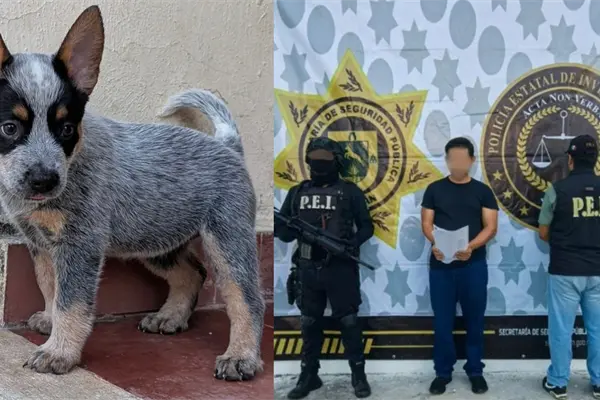 ¿Quién es Ferdinando N, presunto agresor de la perrita Sicilia en Mérida?