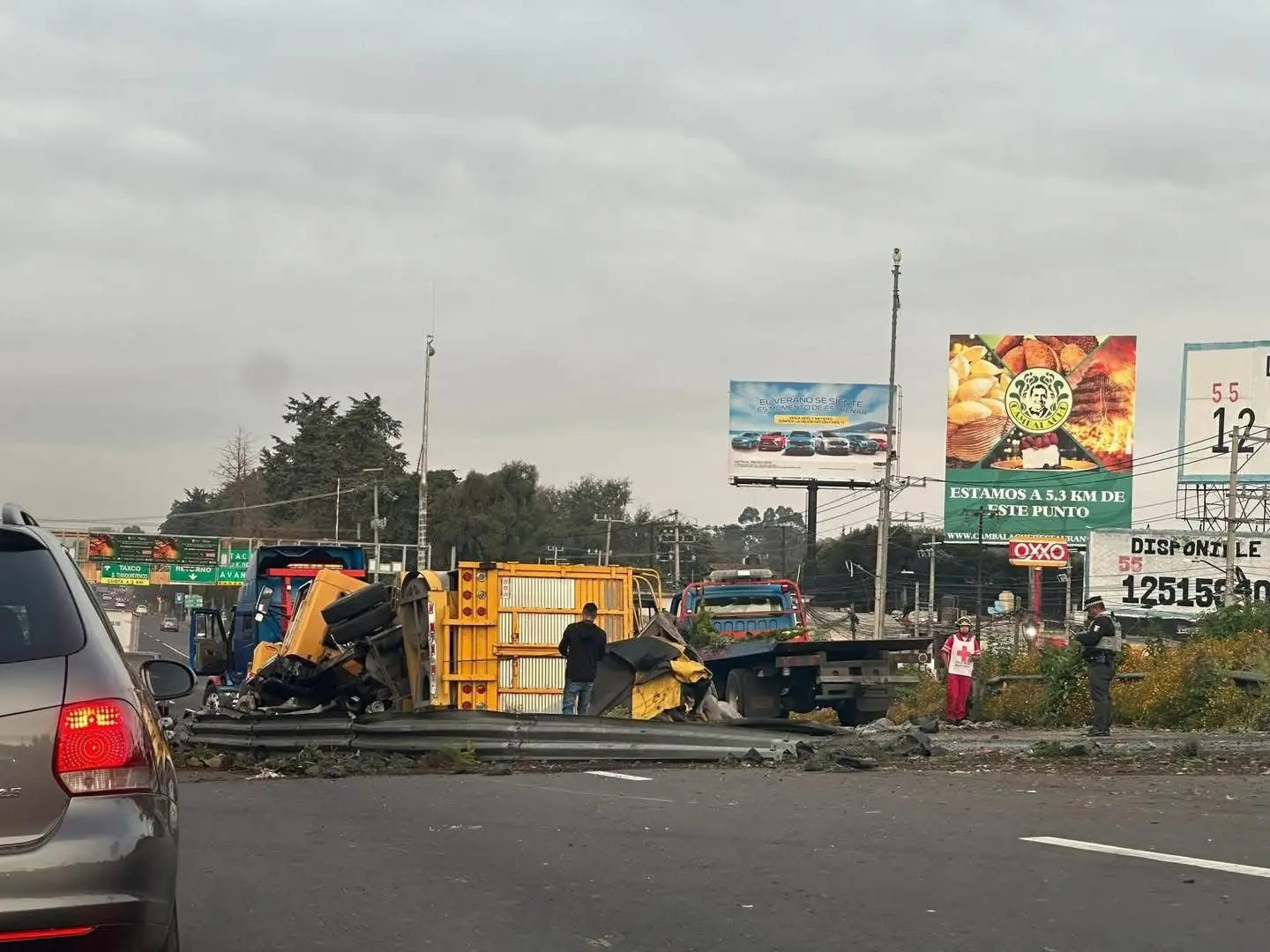 La unidad, que transportaba plantas y macetas, volcó tras perder el control por exceso de velocidad y peso. Imagen: Especial