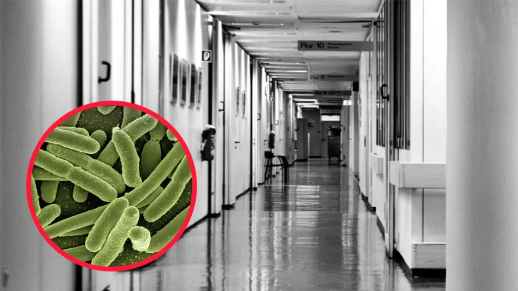 ¿Qué provoca la Klebsiella pneumoniae, peligrosa bacteria detectada en el Hospital de Lerdo?