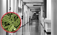¿Qué provoca la Klebsiella pneumoniae, peligrosa bacteria detectada en el Hospital de Lerdo?