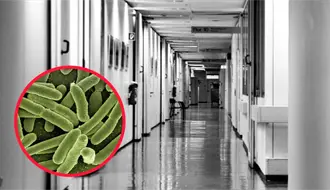 ¿Qué provoca la Klebsiella pneumoniae, peligrosa bacteria detectada en el Hospital de Lerdo?