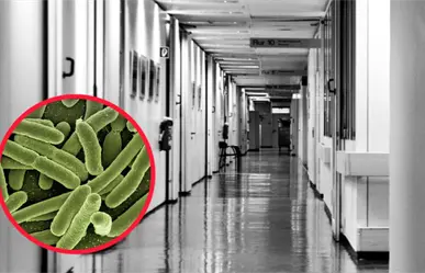 ¿Qué provoca la Klebsiella pneumoniae, peligrosa bacteria detectada en el Hospital de Lerdo?