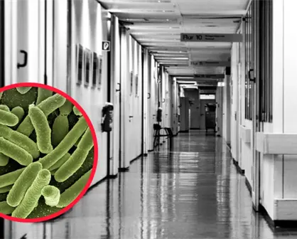 ¿Qué provoca la Klebsiella pneumoniae, peligrosa bacteria detectada en el Hospital de Lerdo?