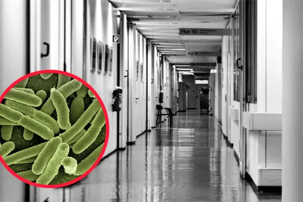 ¿Qué provoca la Klebsiella pneumoniae, peligrosa bacteria detectada en el Hospital de Lerdo?