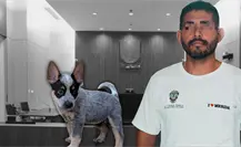Liberan al presunto agresor de Sicilia, la perrita baleada en Mérida; jueza considera que el delito no es grave Liberan al presunto agresor de Sicilia, la perrita baleada en Mérida; jueza considera que el delito no es grave