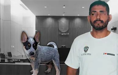 Liberan al presunto agresor de Sicilia, la perrita baleada en Mérida; jueza considera que el delito no es grave