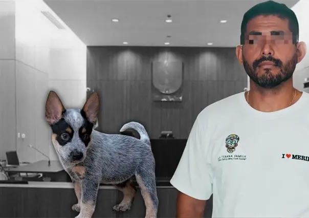 Liberan al presunto agresor de Sicilia, la perrita baleada en Mérida; jueza considera que el delito no es grave