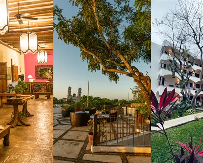 Excelencia y tradición en Valladolid,  Hotel Mesón del Marqués recibe Distintivo Tesoros de México 2025