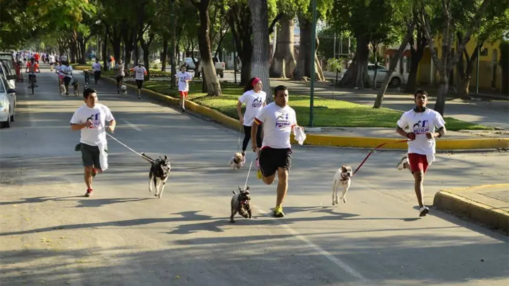 Participa en el séptimo Perrotón KNino y corre junto a tu mascota en Tamaulipas