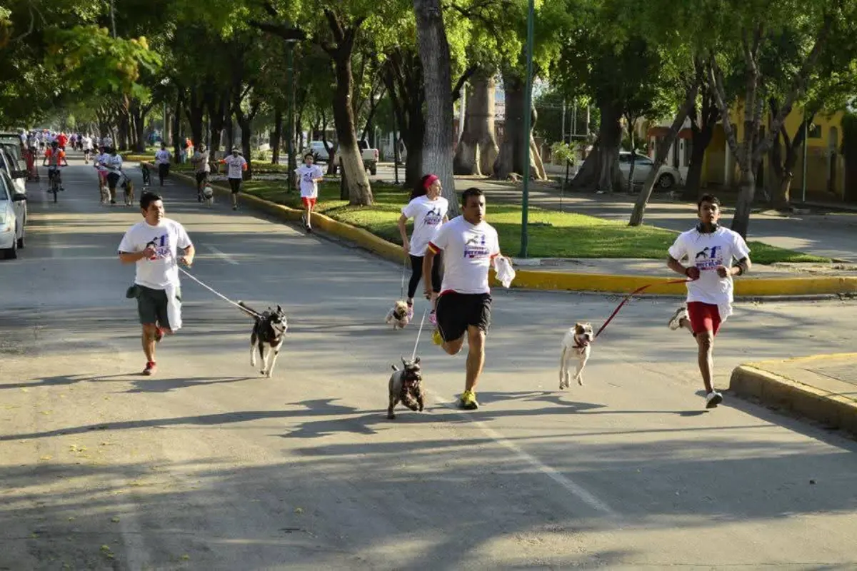 Perrotón KNino y carrera con causa en Ciudad Victoria. Foto: Daniel Espinoza