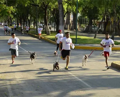 Participa en el séptimo Perrotón KNino y corre junto a tu mascota en Tamaulipas