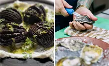 Guía Michelin en Todos Santos: Los 3 restaurantes recomendados que no te puedes perder