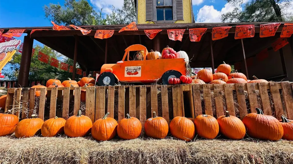 Demuestra tu talento este Halloween en el concurso de calabazas del Pumpkin Fest