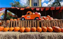 Demuestra tu talento este Halloween en el concurso de calabazas del Pumpkin Fest