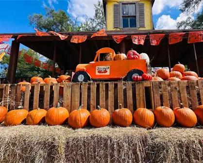 Demuestra tu talento este Halloween en el concurso de calabazas del Pumpkin Fest