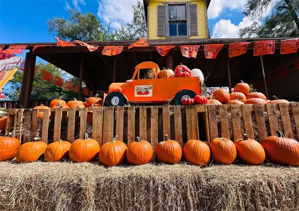 Demuestra tu talento este Halloween en el concurso de calabazas del Pumpkin Fest