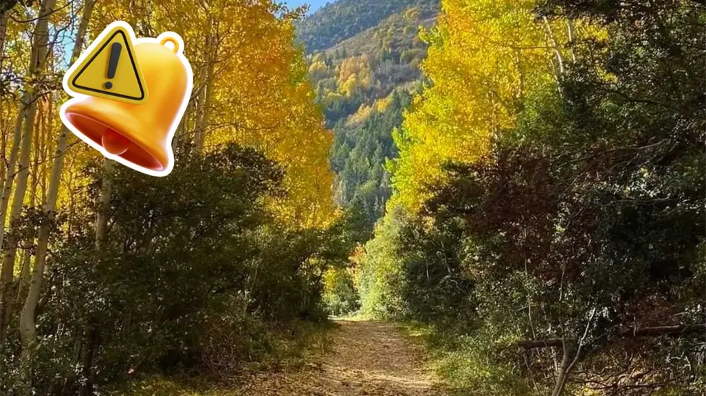 Basura y fogatas ilegales preocupan a propietarios en la Sierra de Arteaga