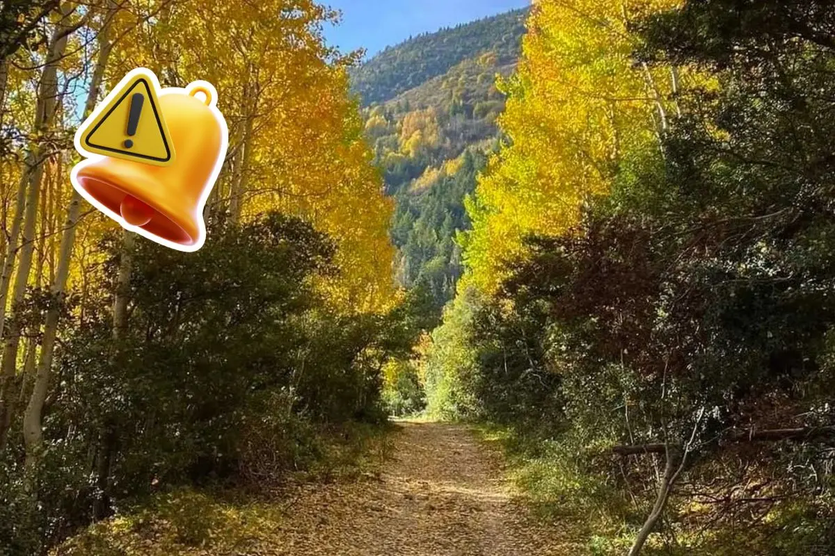 Plantean regular los accesos a la Sierra de Arteaga / Foto: México Mágico | Canva