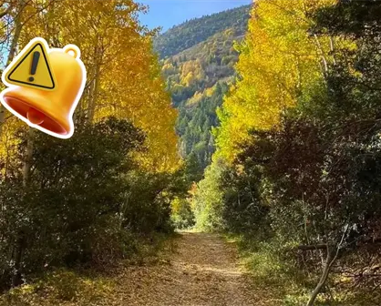 Basura y fogatas ilegales preocupan a propietarios en la Sierra de Arteaga
