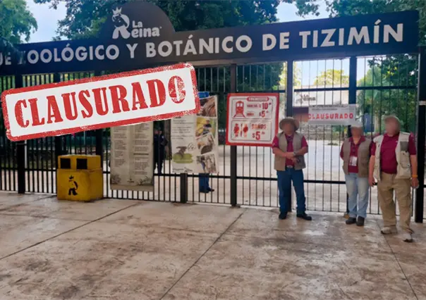 Clausuran el zoológico "La Reina" en Tizimín: estas son las causas y anomalías detectadas por la Profepa