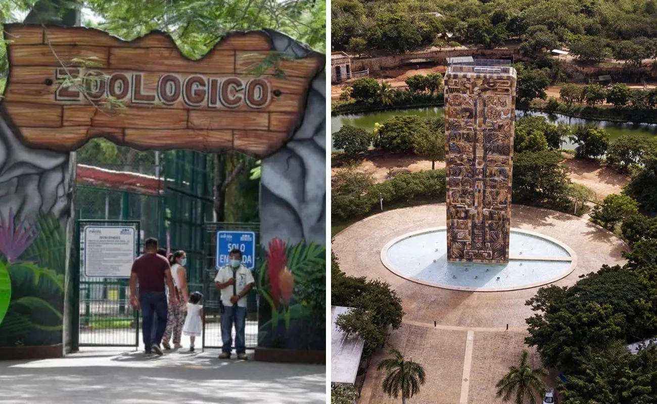 ¿Qué ofrece el Zoológico Animaya en Mérida? Foto: Canva