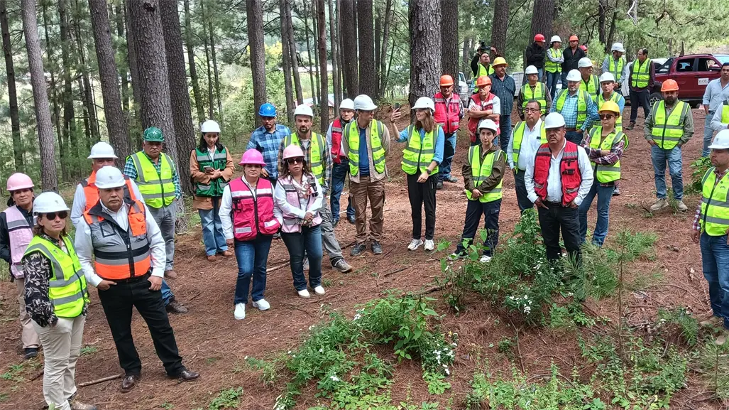 Ejido de Durango busca bonos de carbono a través del cuidado de su bosque