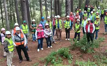 Ejido de Durango busca bonos de carbono a través del cuidado de su bosque
