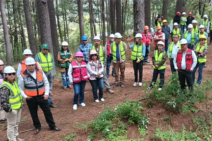 Ejido de Durango busca bonos de carbono a través del cuidado de su bosque Ejido de Durango busca bonos de carbono a través del cuidado de su bosque