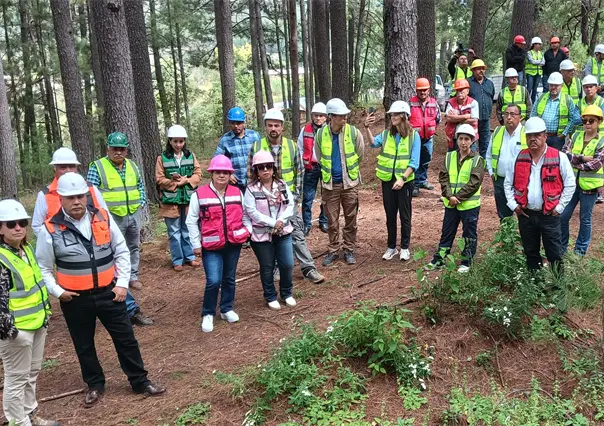 Ejido de Durango busca bonos de carbono a través del cuidado de su bosque