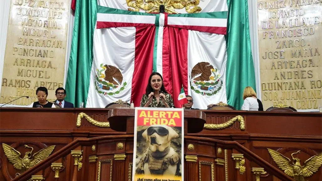 Congreso CDMX solicita Alerta Frida para la localización oficial de mascotas