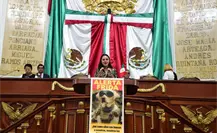 Congreso CDMX solicita Alerta Frida para la localización oficial de mascotas