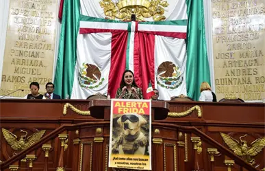 Congreso CDMX solicita Alerta Frida para la localización oficial de mascotas