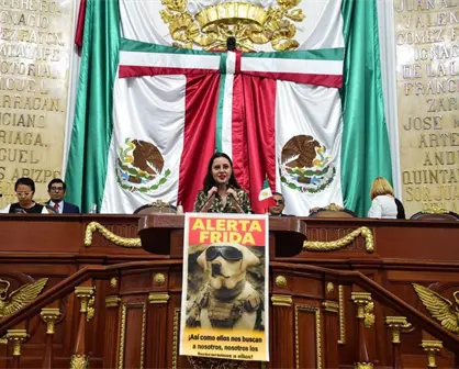 Congreso CDMX solicita Alerta Frida para la localización oficial de mascotas