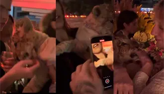 VIDEO | Cachorro de león exhibido en fiesta en Polanco provocando indignación en redes sociales
