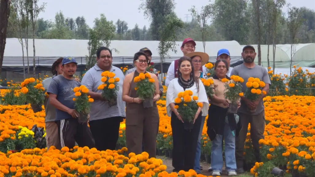 Récord de 6 millones de flores de cempasúchil en CDMX: así se alista la ciudad para Día de Muertos
