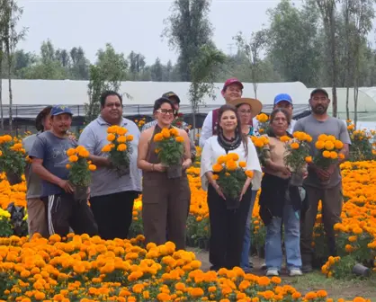 Récord de 6 millones de flores de cempasúchil en CDMX: así se alista la ciudad para Día de Muertos