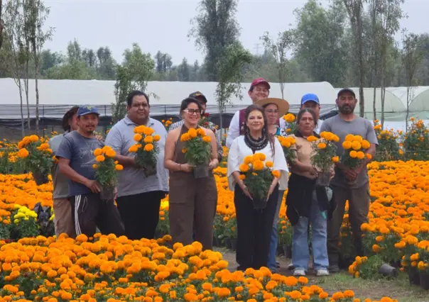 Récord de 6 millones de flores de cempasúchil en CDMX: así se alista la ciudad para Día de Muertos