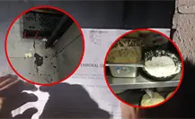 Restaurante en Yucatán sancionado por irregularidades; Secretaría de Salud denuncia intento de soborno