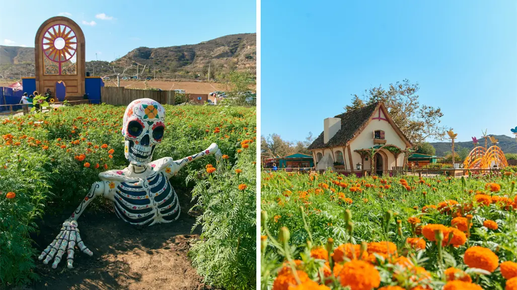 Día de Muertos 2025: Mictlán, el lugar en Tijuana con los spots más coloridos para tus fotos