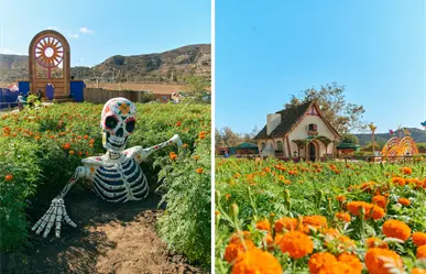 Día de Muertos 2025: Mictlán, el lugar en Tijuana con los spots más coloridos para tus fotos