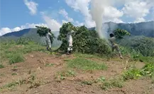 Destruyen cinco plantíos de marihuana en Tamazula de Gordiano, Jalisco