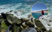 Un triste hallazgo frente a las costas de Los Cabos: retiran a ballenato sin vida cerca del Hotel Paradisus