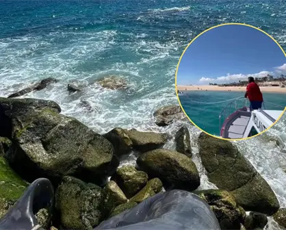 Un triste hallazgo frente a las costas de Los Cabos: retiran a ballenato sin vida cerca del Hotel Paradisus