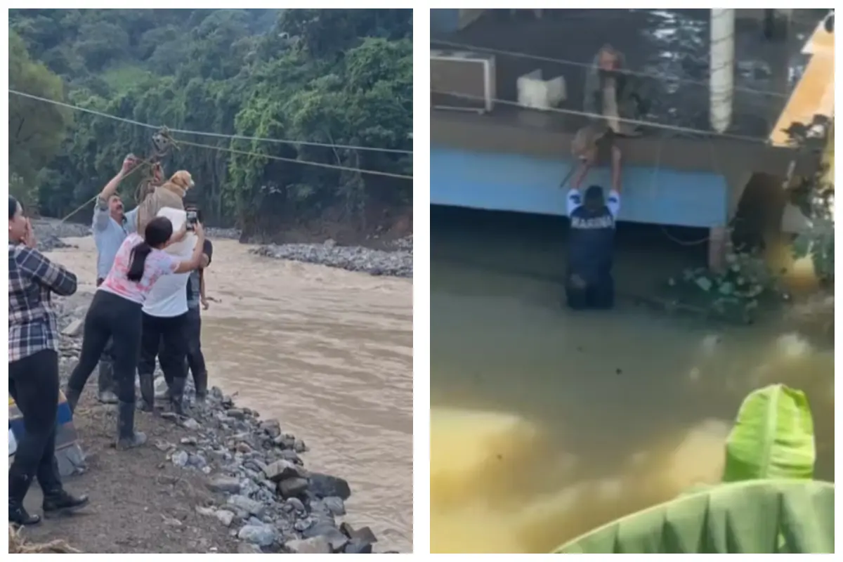 ¡Héroes Sin Capa! Civiles y Protección Civil rescatan perritos en inundaciones. Foto: X @SEMAR_mx | TikTok @jer.azu